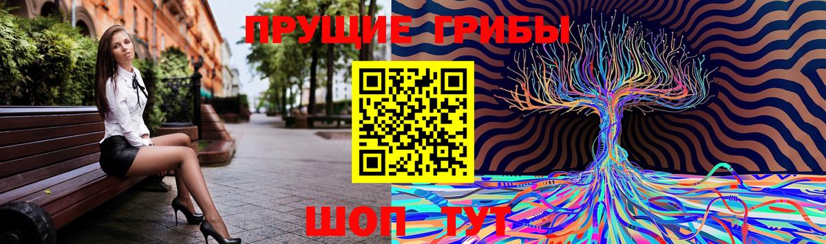 Псилоцибиновые грибы ЛСД  Вход с VPN  Мичуринск  Галлюциногенные грибы Cubensis 